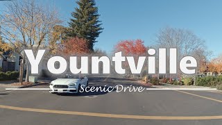 Driving in Downtown Yountville California  4K60fps [upl. by Eiddet]