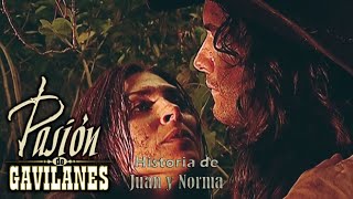 Pasion de Gavilanes PDG Juan y Norma 537  La Muerte de Dinora [upl. by Ramon]