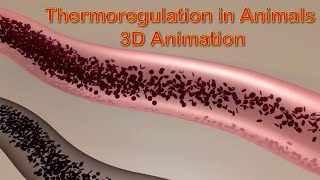 Thermoregulation in Animals  FScII Biology  Chap 15  Ihtsham Liaqat [upl. by Adleremse]