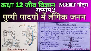 NCERT Biology class 12 chapter 2 notes in hindi 2023 reproduction in flowerig plants [upl. by Bogosian529]