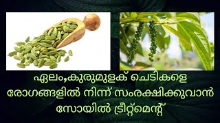 Robin George ൻ്റെ കൃഷി അറിവുകൾ [upl. by Aklam950]