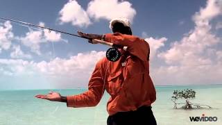 Belgian Cast Into Wind  Capt Shawn Leadon  Bonefishing  Andros Island Bonefish Club [upl. by Enitsirc219]