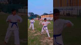 Kyokushin karate 🥋 Kyokushin karate raomartialarts kyokushinfighter kyokushintraining [upl. by Nolek]