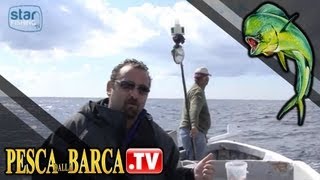 Pesca con i nattelli per prendere le occhiate [upl. by Bashemeth]