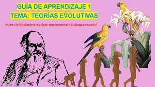 GUÍA TEORÍAS EVOLUTIVAS [upl. by Thomson]