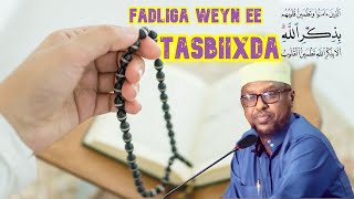 Fadliga Tasbiixda  Sheekh Mustafe Xaaji Ismaaciil Haaruun Fadlan Subscribe AlfaSalaamTV [upl. by Amir]