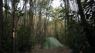 4 Freaky TRUE Camping Horror Stories [upl. by Eanom]