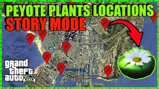 ALL 27 PEYOTE PLANTS Location Map  STORY MODE 2022  How To Find All PeyotePlants GTA 5 Story Mode [upl. by Mellar]