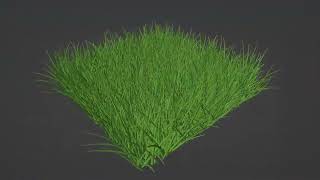 Realistic Grass Animation in Blender Geometry Nodes using Noise Textures [upl. by Borroff]