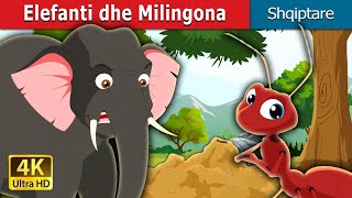 Elefanti dhe Milingona  Elephant and Ant in Albanian  AlbanianFairyTales [upl. by Ikkir175]