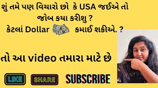 શું તમે પણ USA આવાનું વિચારો છો  પણ મન માં ગણા બધા પ્રશ્નો છે  તો આ video તમારા માટે મિત્રો☺️ [upl. by Hudson]