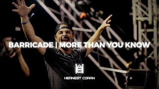 Barricade  More Than You Know Axwell Mashup [upl. by Brigitte132]