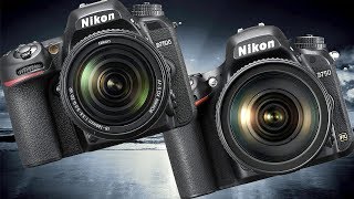 Nikon D750 vs Nikon D7500 High ISO Performance [upl. by Callery211]