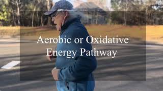 Preventing Type 2 Diabetes With Metabolic Conditioning Demystifying The Three Energy Pathways [upl. by Lunseth]