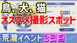 【鳥2種類、犬2種類、猫2種類】オススメ写真撮影場所「荒瀧・生命のロックイリデッセンスビッグツアー」 イベント3日目 背景取材 稲妻 ver46攻略 原神 [upl. by Yttam10]