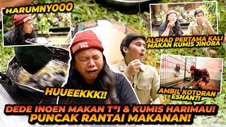 DEDE INOEN MAKAN KOTORAN DAN KUMIS HARIMAU  PUNCAK RANTAI MAKANAN TERTINGGI MEMBUKTIKAN POSISINYA [upl. by Illak537]