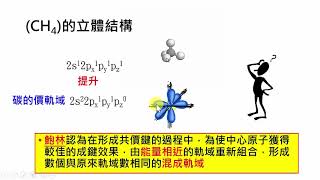 高中化學｜混成軌域1 [upl. by Asilef]