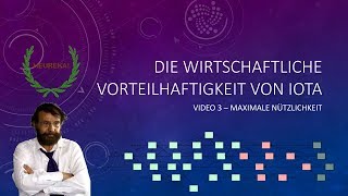 Die wirtschaftliche Vorteilhaftigkeit von IOTA  Maximale Nützlichkeit 33  Wohlfahrtstheorie [upl. by Adao]