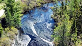 Beautiful Spring Colours and Pollen Patterns on Barrys Brook MAVIC 2 PRO 4K UHD [upl. by Eppillihp]