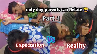 Owning a dog expectations vs reality part1 dogreality doglover expectationsvsreality [upl. by Dennett]