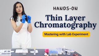 Mastering Thin Layer Chromatography Technique  TLC HandsOn Lab Experiment [upl. by Boorman]