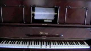 Sugar James P Johnson  piano roll [upl. by Sinnard]