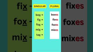 English Grammar Lessons nonus plural english ESL learnenglish education grammar quiz [upl. by Ahsal]