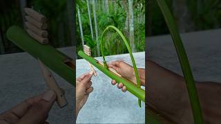 DIY  Bamboo Slingshots with Bamboo creations Bamboo Slingshots DIY Bambooart [upl. by Kiri232]