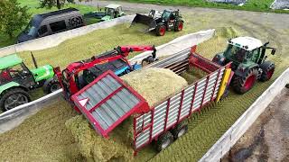 Fahrsilofüllen 🇨🇭🌽🚜 mit Bunkerhäcksler Feldhäcksler Traktoren und Trucks quotTrailerquot [upl. by Anaugal]