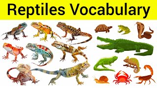 Reptiles Vocabulary  Reptiles Name in English  English Learning [upl. by Inod258]