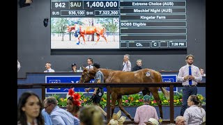 Review of the Magic Millions 2024 Gold Coast Yearling Sale [upl. by Reywas]