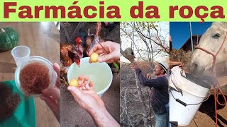 SABEDORIA da ROÇA receitas do homem do campo que curam pessoas e animais [upl. by Sakul]