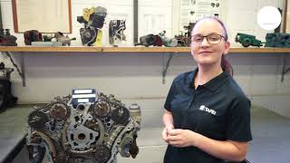 Behind the Scenes TAFE NSW  Graduate Tour  Automotive Mechanics [upl. by Oer]