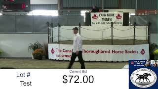 2022 CTHS BC Yearling amp Mixed Sale 08 September 2022 [upl. by Blakely966]