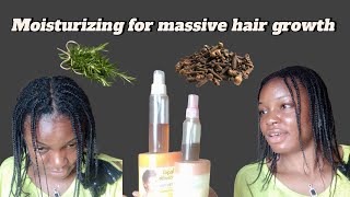 HOW I MAINTAIN AND MOISTURIZE MY MINI BRAIDS AFTER WASH DAYCLOVES AND ROSEMARY HAIR SPRAY [upl. by Furlong]