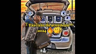 Tarcísio do acordeon 2024 [upl. by Tallia352]