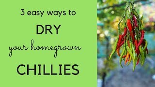 How to dry chillies  three easy ways [upl. by Kina]