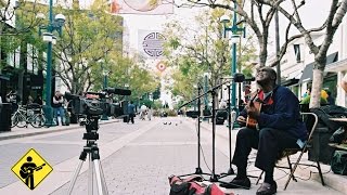 Tears On My Pillow  Roger Ridley  Playing For Change  Live Outside [upl. by Schug392]