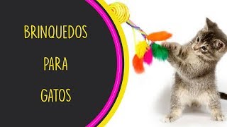 7 BRINQUEDOS PARA GATOS  PREFERIDOS [upl. by Imeon]