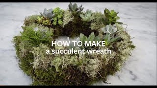 How to make a Succulent wreath  Grow at Home  Royal Horticultural Society [upl. by Herra747]