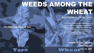 SUNDAY SCHOOL LESSON JULY 23 2023 Weeds Among the Wheat MATTHEW 13 2430 3643 [upl. by Susej]