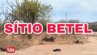 SÍTIO BETEL [upl. by Anila]