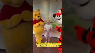 My Friends Tigger amp Pooh Friendly Tails DVD Website [upl. by Yendroc]