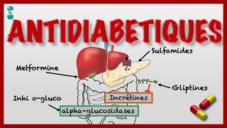 Les Antidiabétiques dans le Diabète et leur Pharmacologie [upl. by Ali189]