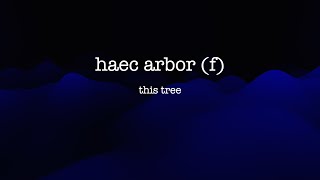 Mastering Latin Declension of HAEC ARBOR [upl. by Lanna]