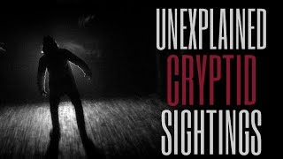 5 Scary Cryptid Stories Vol 10 [upl. by Sura]