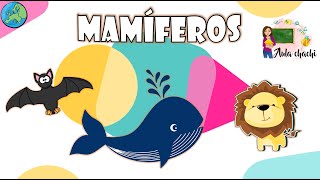 ANIMALES VERTEBRADOS Mamíferos Aves Reptiles Anfibios  Peces Características🦜🐟🐘🐸🦎Jopabaa [upl. by Yrgoerg]