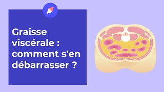 Graisse viscérale  comment sen débarrasser   Coaching Nutrition [upl. by Ailekahs]