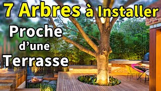 7 Arbres à planter Proche dune Terrasse  1 en Bonus [upl. by Olney]