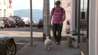 Frank amp the dogs do Greencastle to Moville [upl. by Waxler]